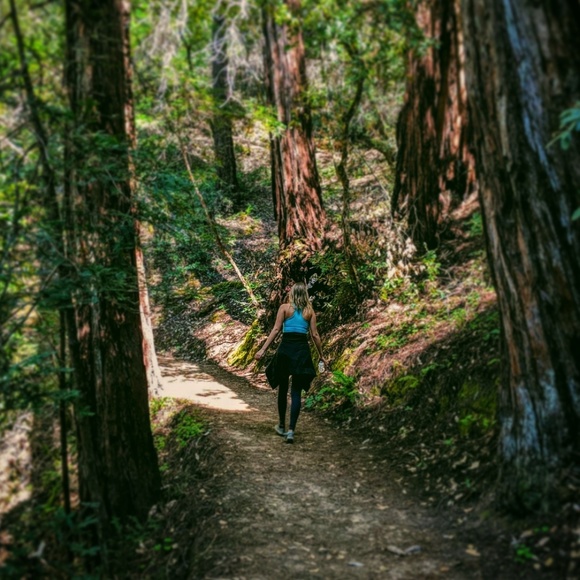 Meet Your Seller! - Picture 4 of 4